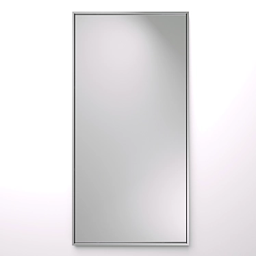 Stainless Steel Framed Mirror 3D model image 1 