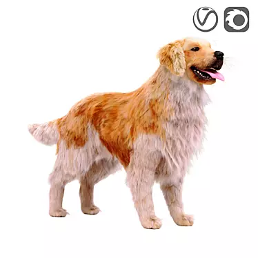 Golden Retriever: Beautiful Hunting Dog 3D model image 1 