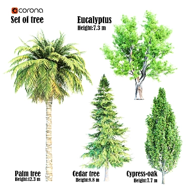 Evergreen Tree Set: Eucalyptus, Cypress, Palm & Cedar 3D model image 1 