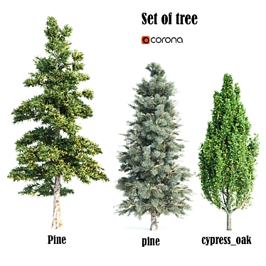 Versatile Set of Tall Trees 3D model image 1 