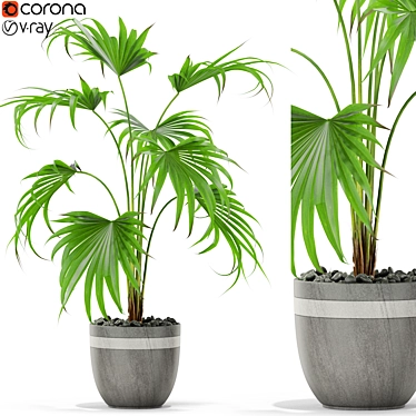 407 Plants Collection: Lush and Vibrant 3D model image 1 