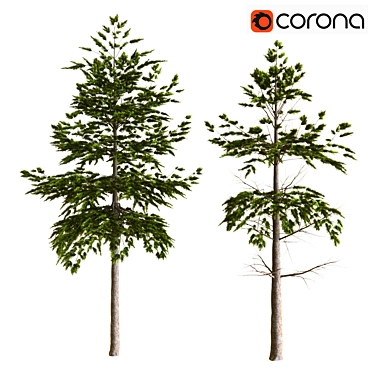 Eco-friendly Plant Tree Set 3D model image 1 