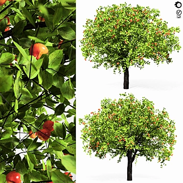 Giant Apple Tree 6s: Realistic 3D Model 3D model image 1 