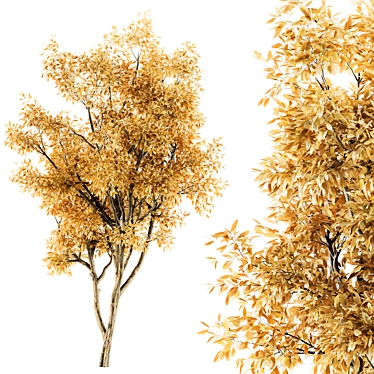 Autumn Foliage Assortment - Set of 20 3D model image 1 
