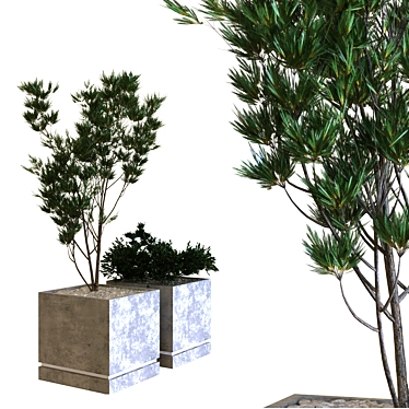  Greenery Delights: Plant Box Set 3D model image 1 