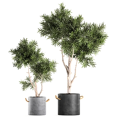 Tropical Decorative Tree - Black Vase 3D model image 1 