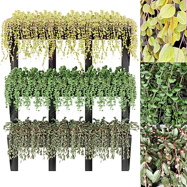 Premium Plant Collection: Vol. 8 3D model image 1 