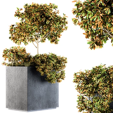 Concrete Box 98: Outdoor Plants 3D model image 1 