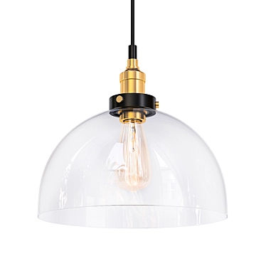 Vintage Clear Glass Pendant Light 3D model image 1 