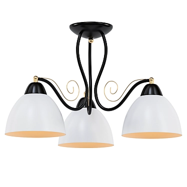 Elegant Ceiling Lamp for Ambiance 3D model image 1 