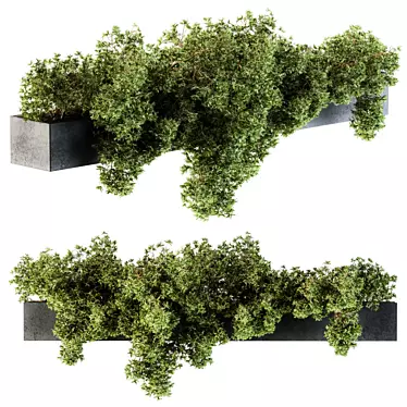  Hanging Garden: Outdoor Plant Set 3D model image 1 
