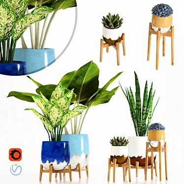 Houseplant Dark Cerulean