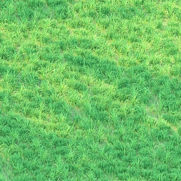  Shaded Tree Grass: Corona Render 3D model image 1 