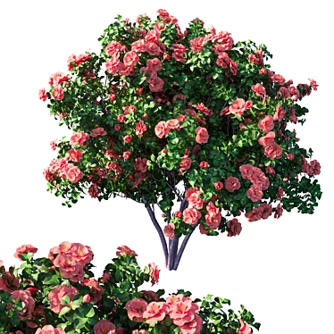 Camellia 5 - Stunning 3D Model 3D model image 1 