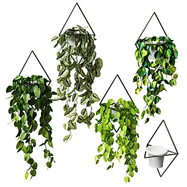 Hanging Greenery: Wall-Mounted Pots 3D model image 1 