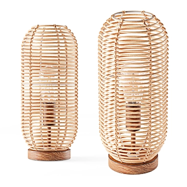 Boho-inspired Rattan Cage Table Lamp 3D model image 1 