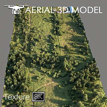 Forest 78: High-Resolution 3D Terrain Model 3D model image 1 
