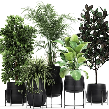 Exotic Plant Collection for Indoor and Outdoor - 769 3D model image 1 