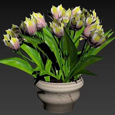 Blooming Tulips in Pot 3D model image 1 