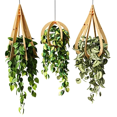 Hanging Wood Pots with Ampel Plants  3D model image 1 