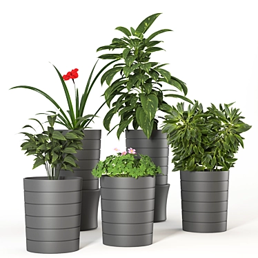 Stylish Indoor Plant Vases 3D model image 1 