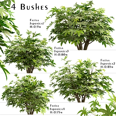 Versatile Set of Fatsia Japonica Bushes 3D model image 1 