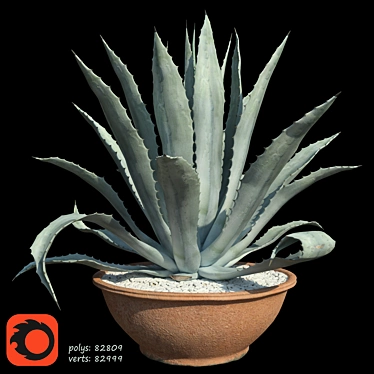 Title: American Blue Agave: Stunning Potted Plant 3D model image 1 