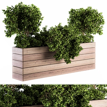  Rustic Wood Planter Set with Outdoor Plants 3D model image 1 