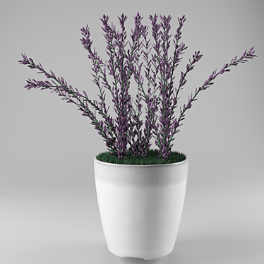 White Ceramic Lavender: Stunning 3D Model 3D model image 1 