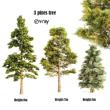 3-Pine Vray 3D Models 3D model image 1 