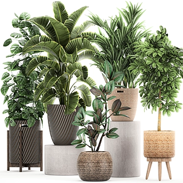 Tropical Plant Collection in Rattan Baskets 3D model image 1 