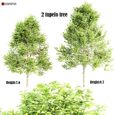 Twin Tupelo Trees: 731,599 & 641,718 3D model image 1 