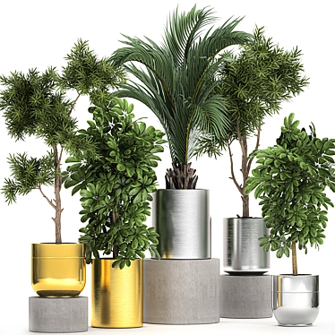 Tropical Plant Collection: Exotic & Decorative 3D model image 1 