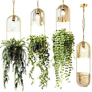 Hanging Pot Lamps: Ampel Plants Set 3D model image 1 