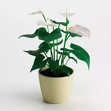 Houseplant Dark Green