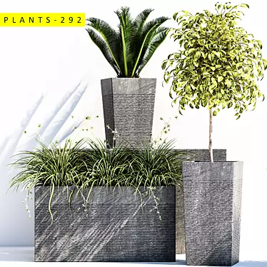 plants 292