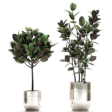 Chroma Plant Collection 3D model image 1 