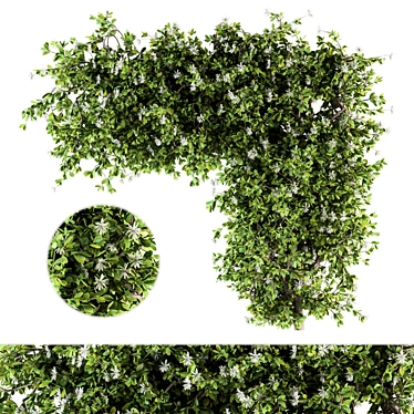 120 Ivy Plants Set - Perfect for Outdoor 3D model image 1 