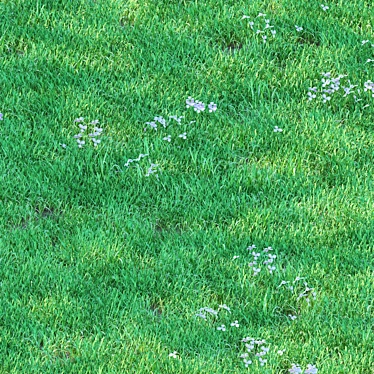 Luscious 5cm Grass for Landscapes 3D model image 1 