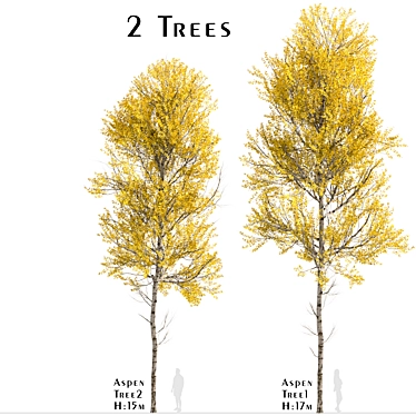 Quaking Aspen Trees (2-Piece Set) 3D model image 1 