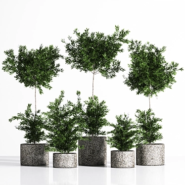 Premium Outdoor Plants Tree: Stunning 2015 Version 3D model image 1 