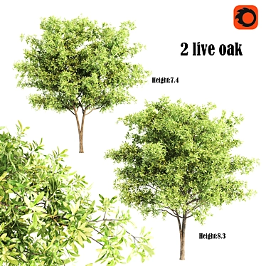 Live Oak Sculpture: 623,022 & 516,552 Polygons 3D model image 1 