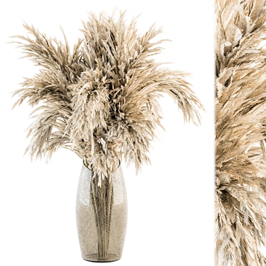 Dried Pampas Bouquet - Dry Plants 3D model image 1 