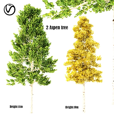  Dual Season Aspen Tree Set 3D model image 1 