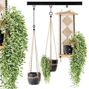 Rustic Concrete Pot with Macrame - Set of 3 3D model image 1 