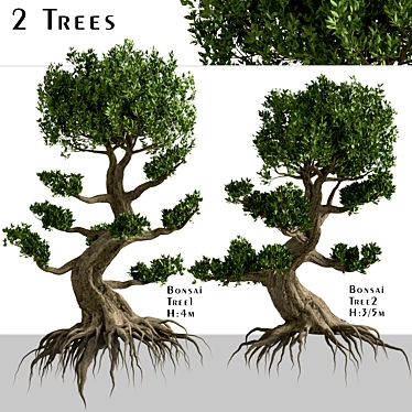 Miniature Bonsai Duo: 2 Enchanting Trees 3D model image 1 