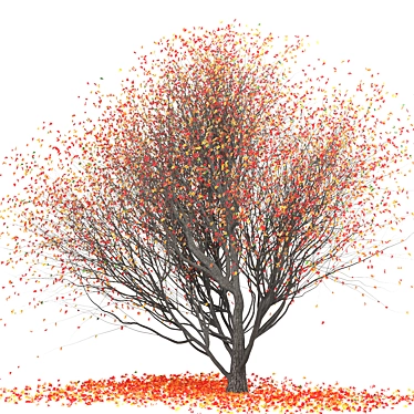 Platanus Tree 2015: 3D Model & FBX 3D model image 1 