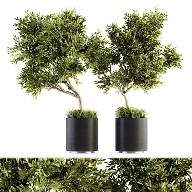 Indoor Oasis: Tree in Pot 3D model image 1 