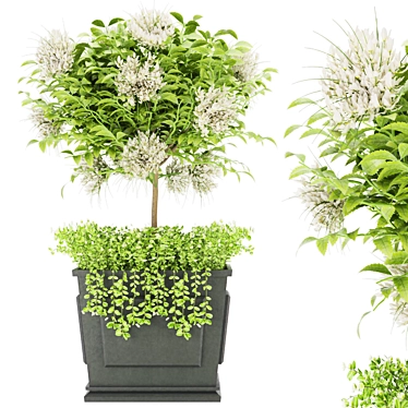 Premium Plant Collection Vol. 39 3D model image 1 