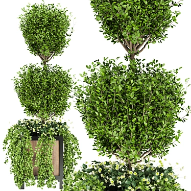 Elevate Your Space: Collection Plant Vol. 41 3D model image 1 